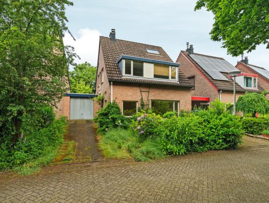 Hoofdfoto van Malden Zwenkgras 13