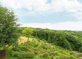 koop  Berg En Dal  Oude Kleefsebaan 357 – Foto 2
