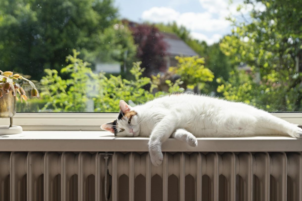 Te koop: Foto Woonhuis aan de Sportlaan 26 in Bemmel