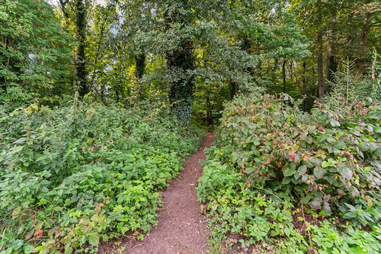 Te koop: Foto Woonhuis aan de Oude Kleefsebaan 26 in Berg En Dal